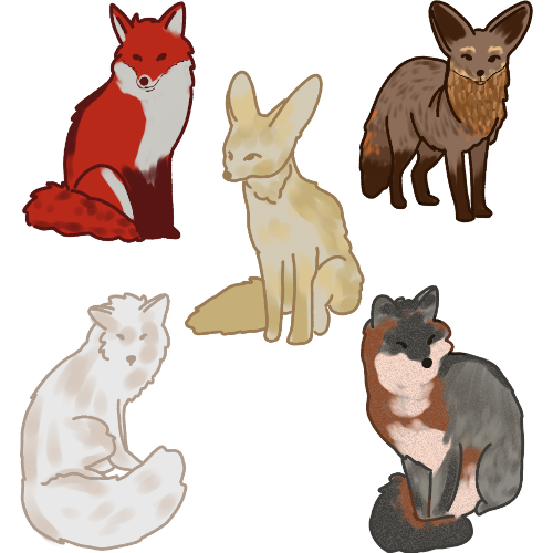 Top left is a Red fox, top right is a Bat-eared fox, middle is Fennec fox, bottom left is a Arctic fox, bottom right is a Gray fox